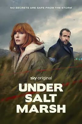 盐沼之下